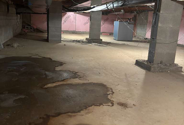 whatsapp image 2026 01 17 at 10.15.02 am2.webp